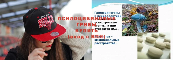 мет Медвежьегорск