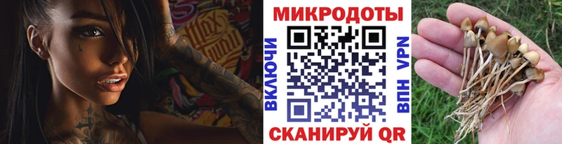Псилоцибиновые грибы Cubensis  где купить наркоту  Улан-Удэ 